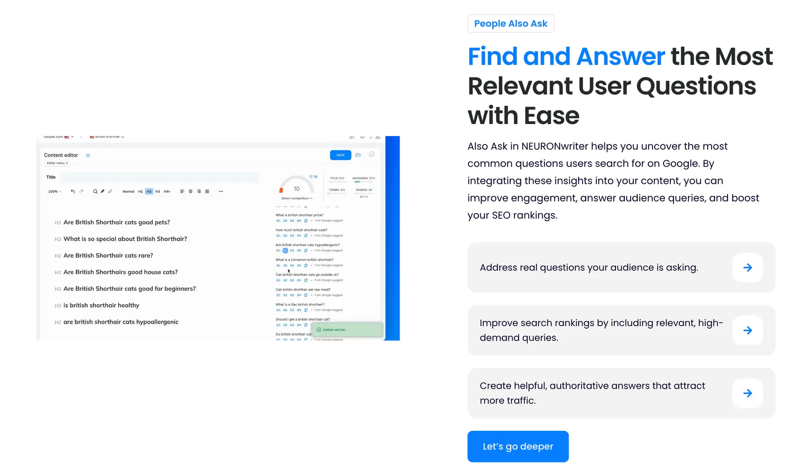 Search Intent Analysis