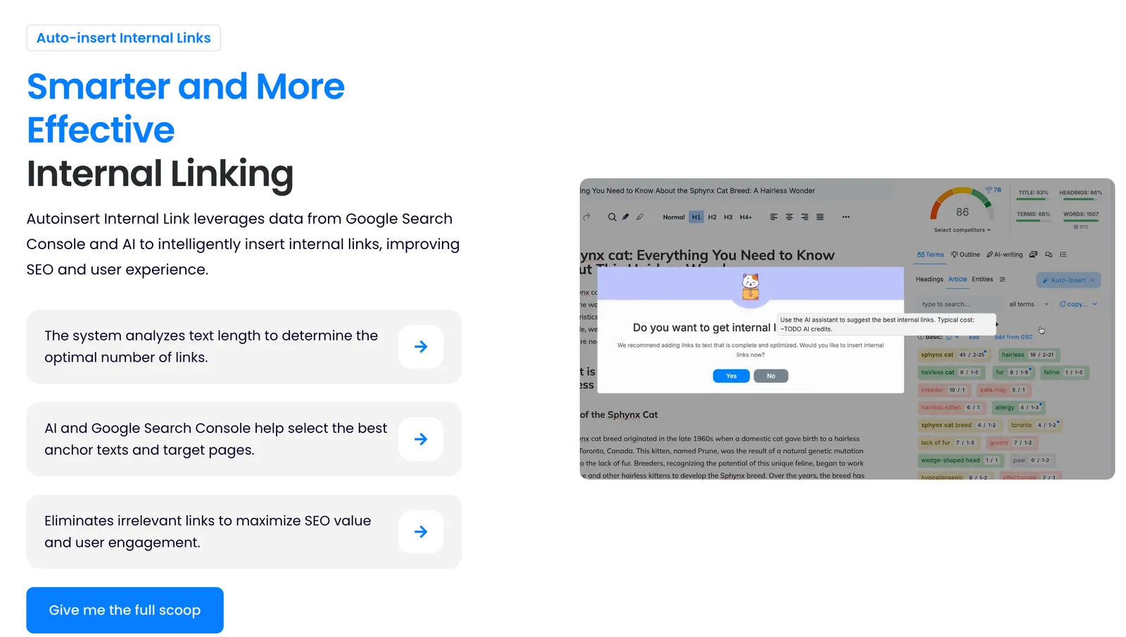 Content Scoring and Optimization